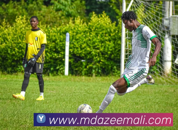 奖项证书
